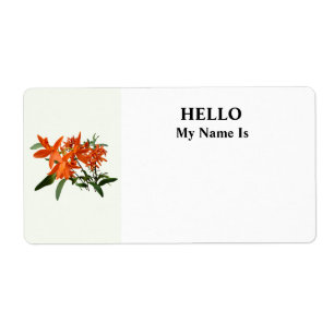 Orange Epidendrum Orchid