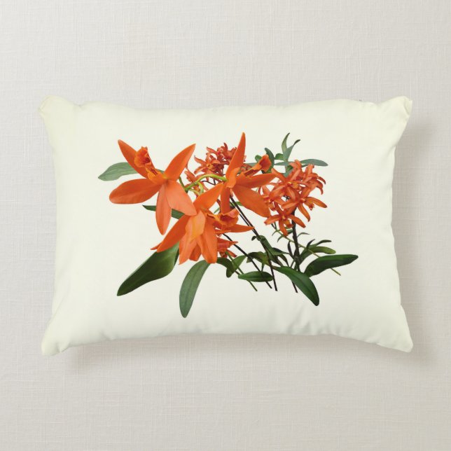 Orange Epidendrum Orchid Decorative Cushion (Front)