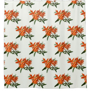 Orange Epidendrum Orchid Shower Curtain