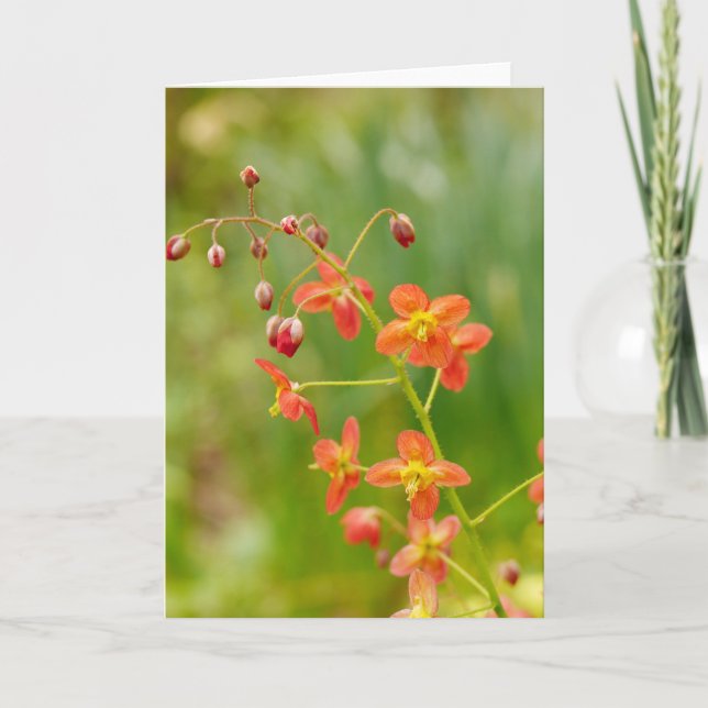 Orange Epimedium Flowers Card (Front)