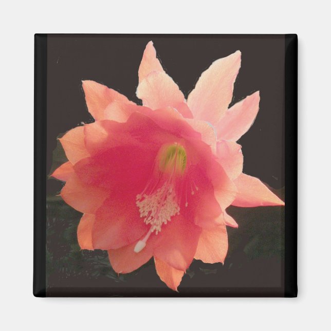 Orange Epiphyte Magnet (Front)