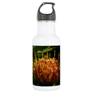 ORANGE EXOTIC CACTUS FLOWER 532 ML WATER BOTTLE