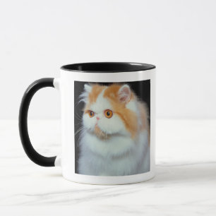 Orange Eyed and Cute Cat Mug