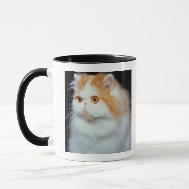Orange Eyed and Cute Cat Mug (Left)