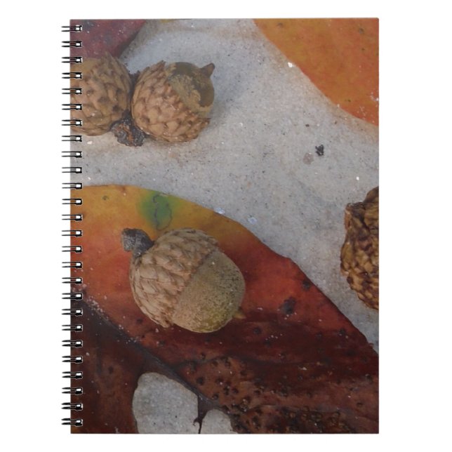 Orange fall leaves and acorns notebook (Front)