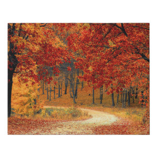 Orange Fall Leaves Country Dirt Road Photo  Faux Canvas Print