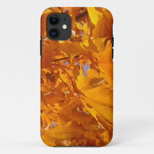 Orange Fall Leaves iPHONE 5 covers cases nature