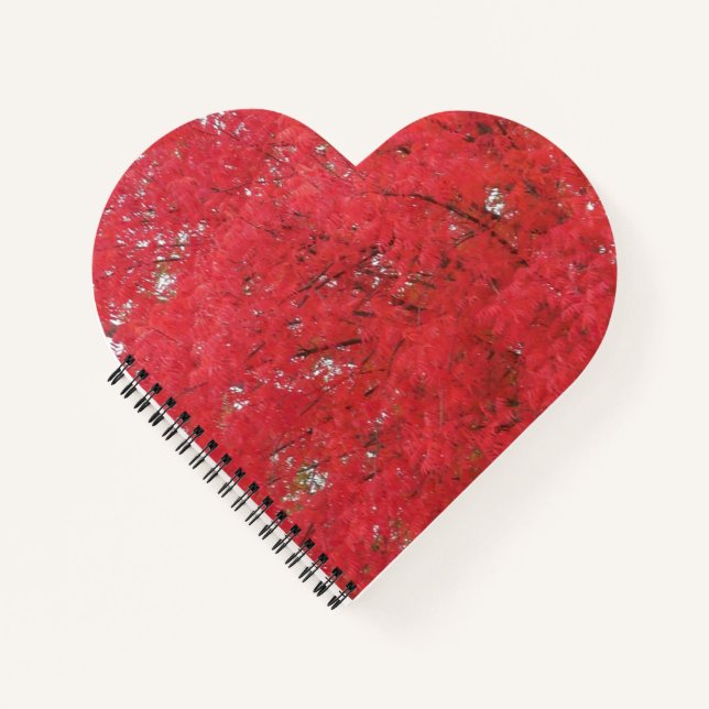 Orange Fall Leaves Notebook (Front)