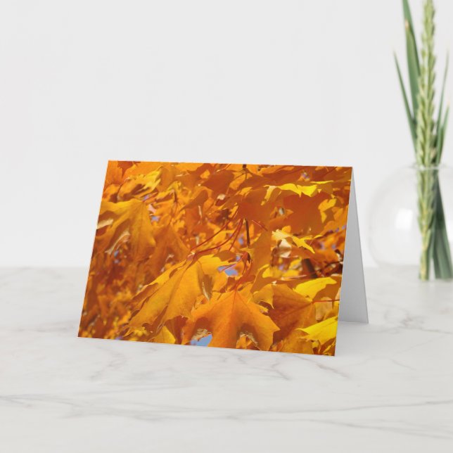 Orange Fall Tree Leaves Greeting cards Autumn (Front)