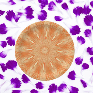 Orange Faux Tulle Design Paper Plate
