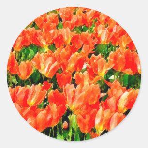 Orange field of tulips classic round sticker