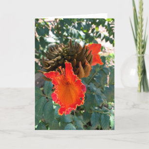 Orange Floral, Hawaii Blank Card