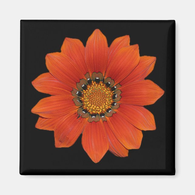Orange Flower 2  Magnet (Front)