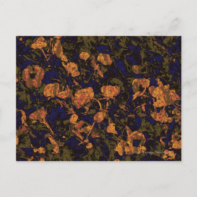Orange flower against leaf camouflage pattern postcard (Front)
