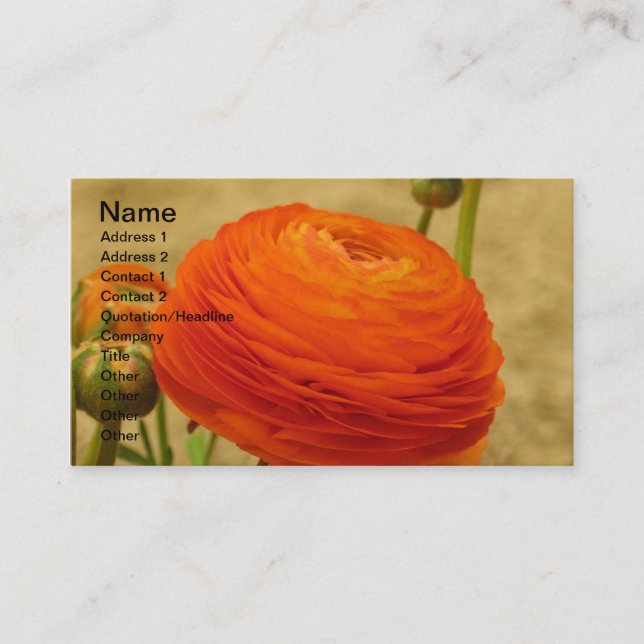 Orange Flower Business Card (Front)