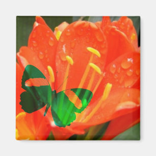 Orange Flower Butterfly Square Magnet