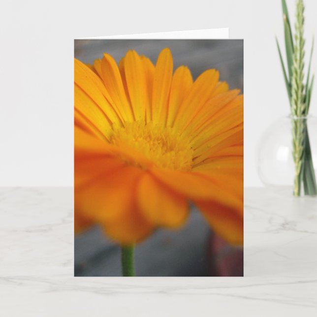orange flower card (Front)