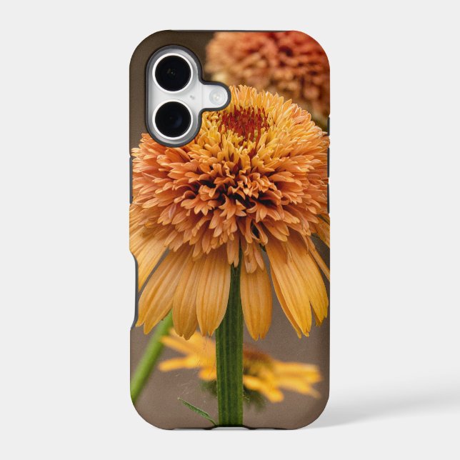 Orange Flower Delight (Back)