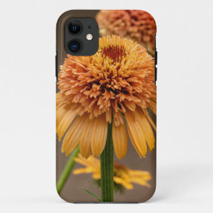 Orange Flower Delight iPhone 11 Case