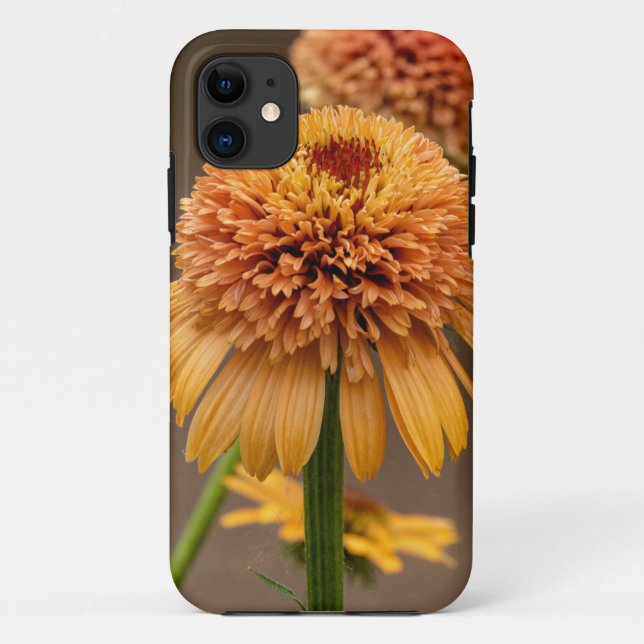 Orange Flower Delight Case-Mate iPhone Case (Back)