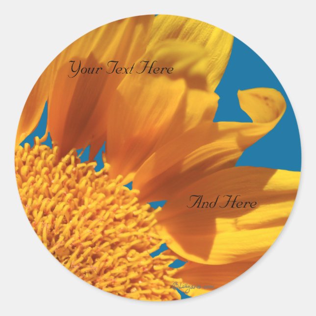 Orange Flower Fall Gerbera Custom Envelope Seals (Front)