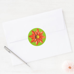 Orange Flower Floral Spring Summer Garden Wedding Classic Round Sticker