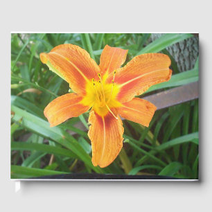 Orange Flower Guest Book