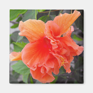 Orange Flower Magnet
