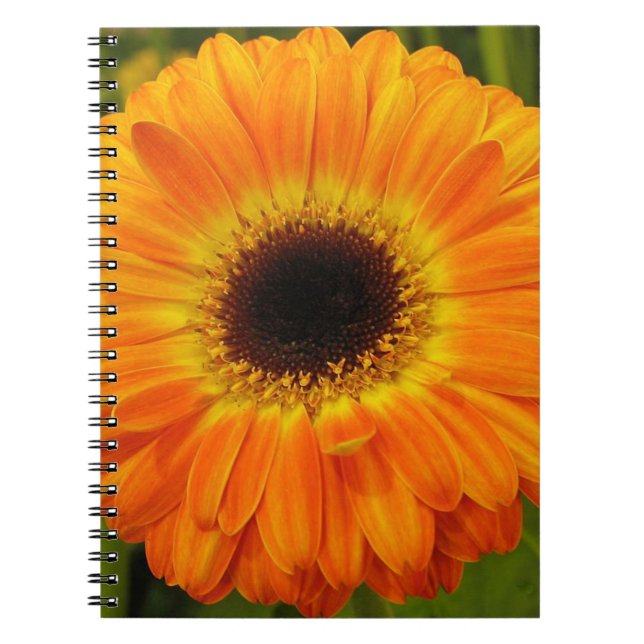 Orange Flower Notebook (Front)