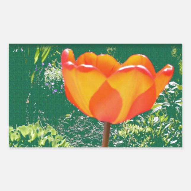 Orange Flower Rectangular Sticker (Front)