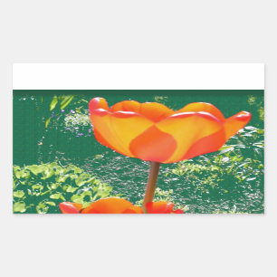 Orange Flower Rectangular Sticker