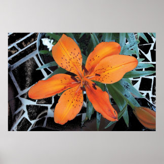 Orange Flower With Background Poster