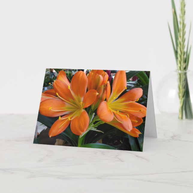 Orange flowers card (Front)