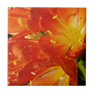 Orange Flowers Ceramic Tile