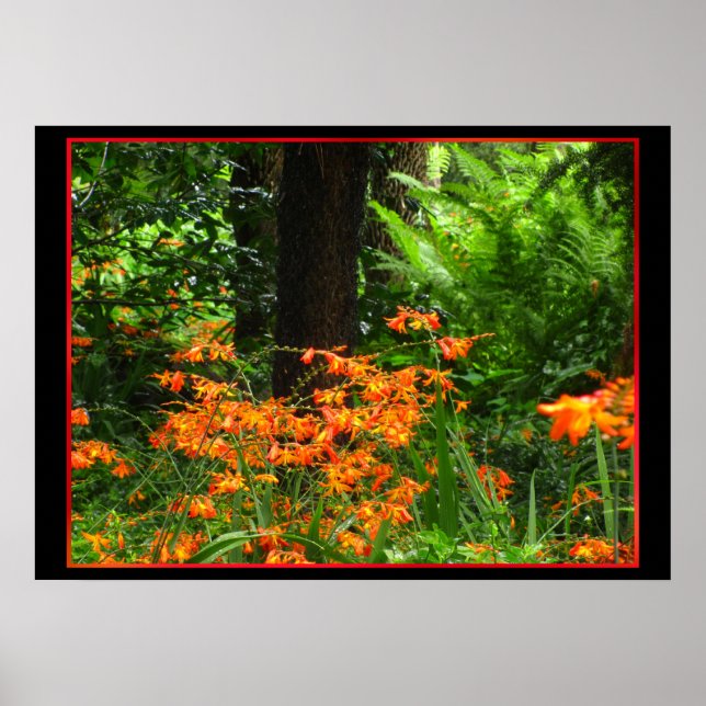 Orange Flowers in Forest Poster (Front)