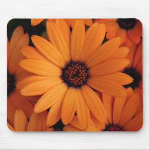 Orange Flowers Mouse Pad