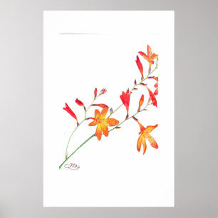 Orange Flowers Poster