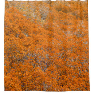 Orange forest view. Orange leaf background. Autumn Shower Curtain