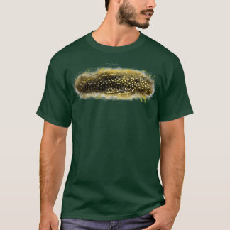 Orange fringed armorice catfish Baryancistrus xant T-Shirt