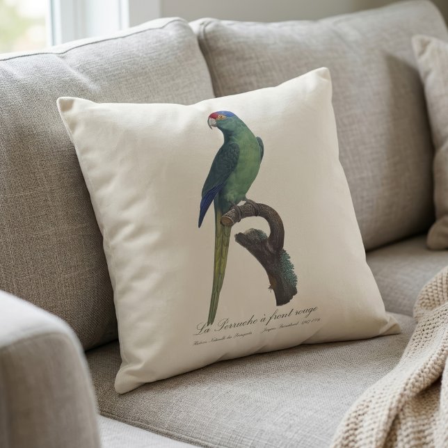 Orange-Fronted Parakeet, Eupsittula Canicularis Cushion (Orange-Fronted Parakeet, Eupsittula Canicularis. Throw Pillow)