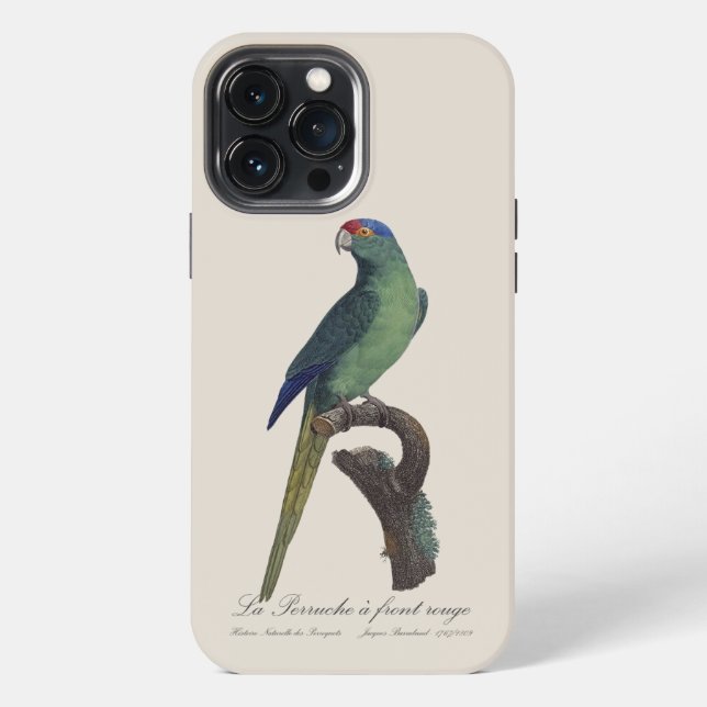 Orange-Fronted Parakeet, Eupsittula Canicularis iPhone Case (Back)