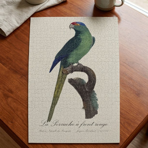 Orange-Fronted Parakeet, Eupsittula Canicularis Jigsaw Puzzle