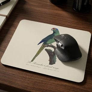 Orange-Fronted Parakeet, Eupsittula Canicularis Mouse Pad