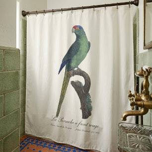 Orange-Fronted Parakeet, Eupsittula Canicularis Shower Curtain