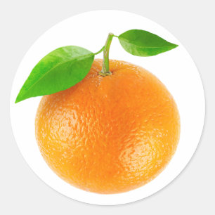 Orange fruit classic round sticker