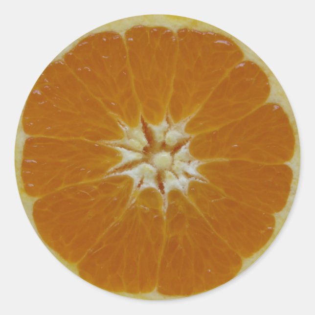 Orange Fruit Slice Classic Round Sticker (Front)