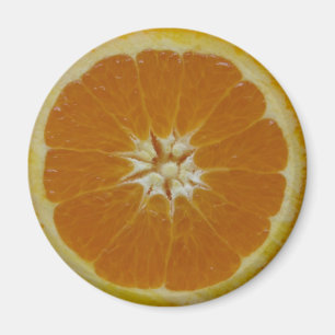 Orange Fruit Slice Magnet