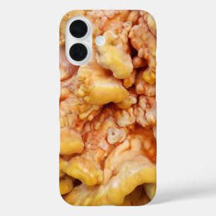 Orange Fungus iPhone 16 Case