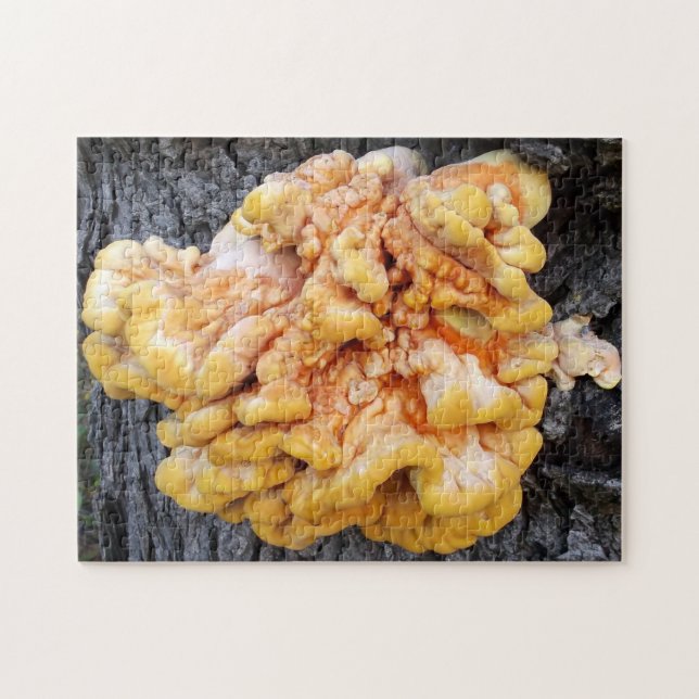 Orange Fungus Jigsaw Puzzle (Horizontal)