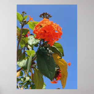 Orange Geiger Tree Poster